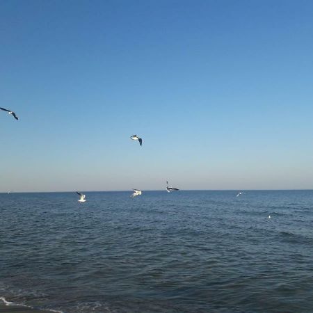 Kuestenwilla Fewo Usedom Zinnowitz Eksteriør billede