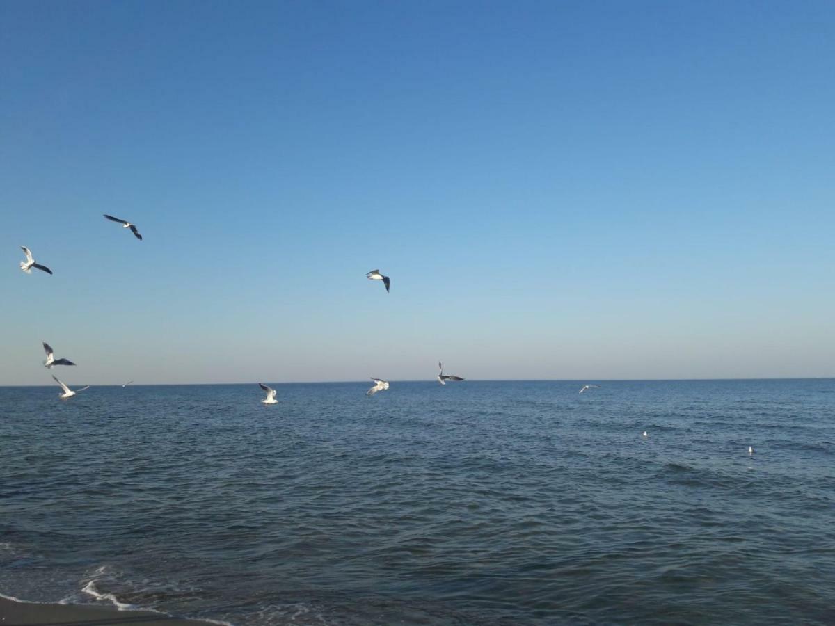 Kuestenwilla Fewo Usedom Zinnowitz Eksteriør billede